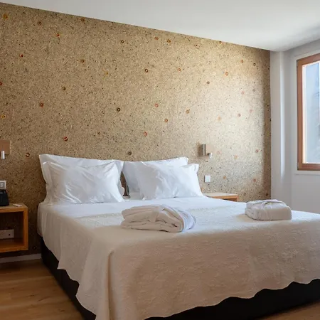 Hotel Foz Coa Story House