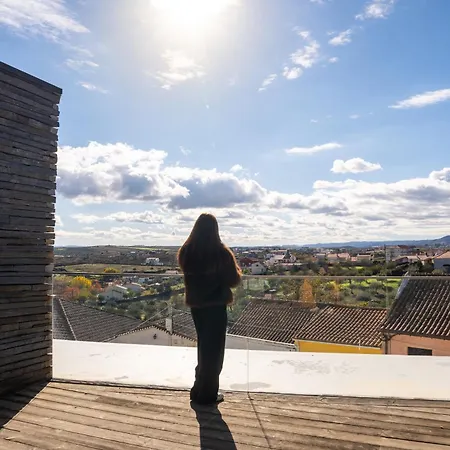 Hotel Foz Coa Story House 4*