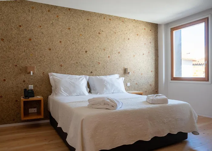 Hotel Foz Coa Story House